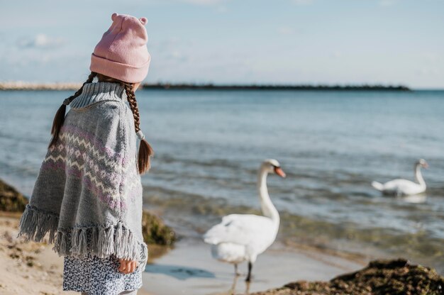 Маленькая девочка смотрит на лебедей