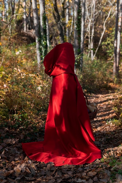 Little red riding hood with wooden basket with goodies