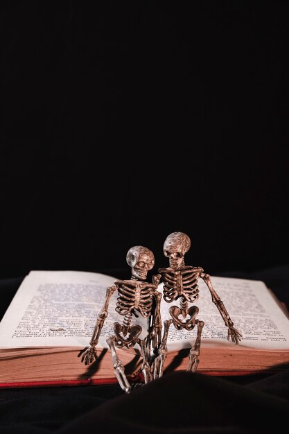 Little skeletons on opened book