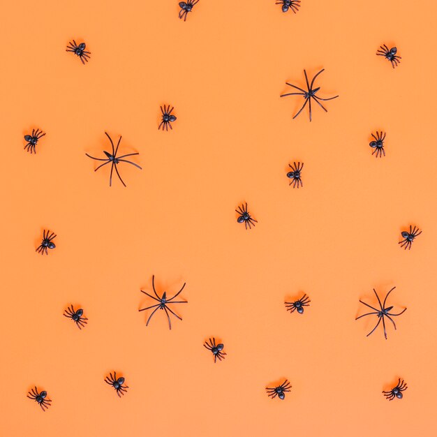 Little spiders laid in order