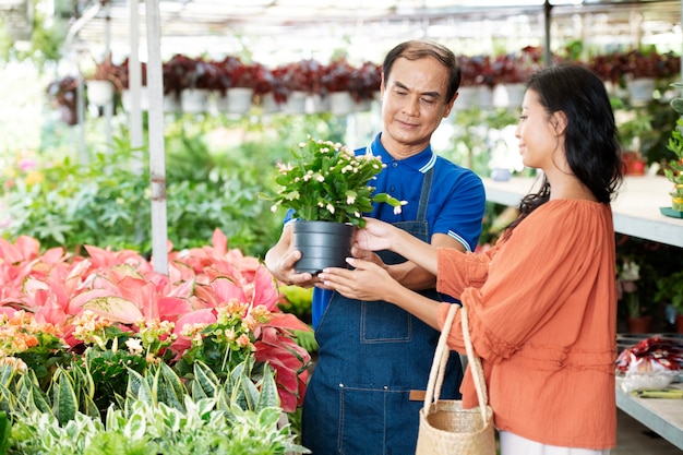 Free photo local retailer taking care of his client