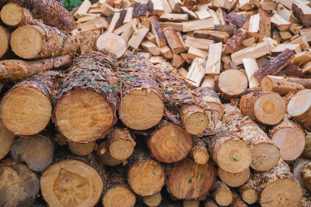 無料写真 丸太の松の幹や森林の衛生伐採、住宅を暖房するために木材を伐採するというアイデア