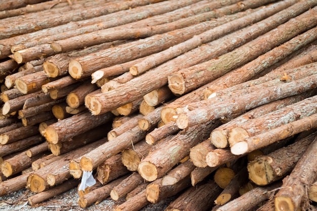 Logs stacked up on top of each other