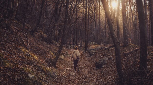 일몰시 벌 거 벗은 나무와 숲에서 걷는 외로운 여성