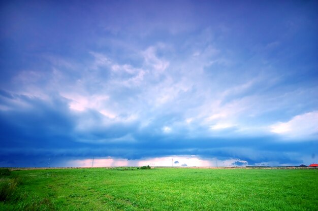 空の背景を持つ孤独な牧草地