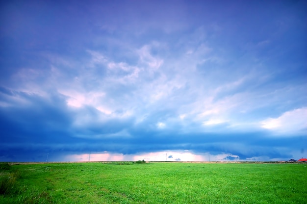 空の背景を持つ孤独な牧草地