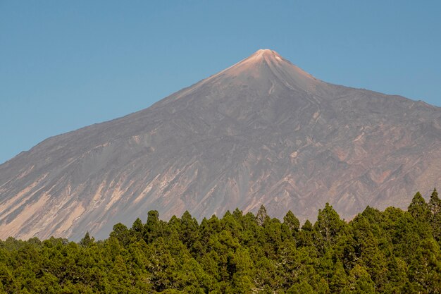 Lonely mountain peak with evergreen forest