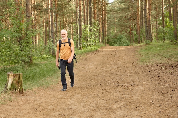Lonely senior man walking in pine woods on warm autumn day. Full length of bearded elderly European male hiker wearing travel clothes carrying rucksack while backpacking in mountain forest alone