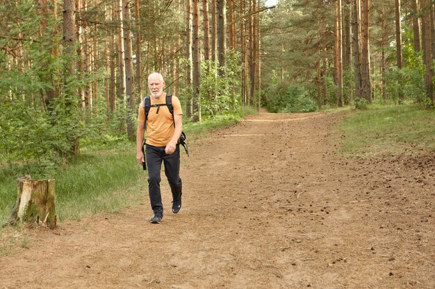 Одинокий старший мужчина идет в сосновом лесу в теплый осенний день. Бородатый пожилой мужчина-путешественник из Европы в полный рост в дорожной одежде с рюкзаком во время похода в одиночку в горном лесу