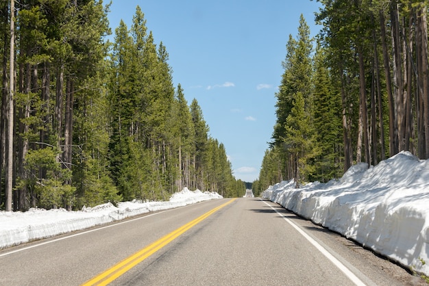 Lonely southern entrance to Yellowstone in winter