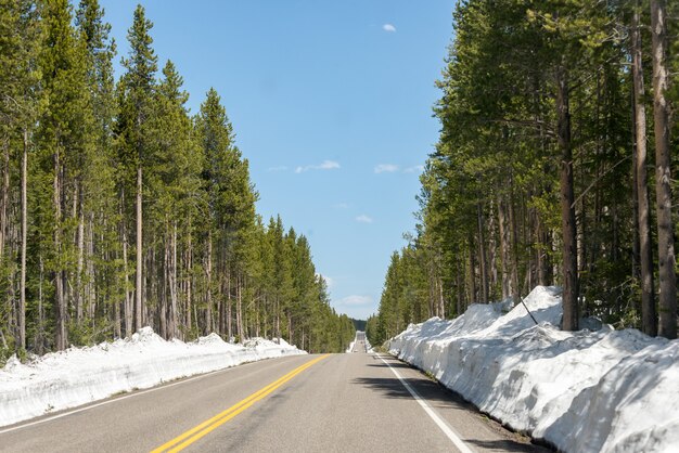 Lonely southern entrance to Yellowstone in winter