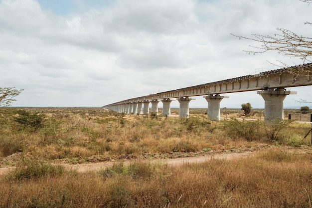 ケニアのナイロビで撮影された曇り空の下の砂漠にかかる長い橋