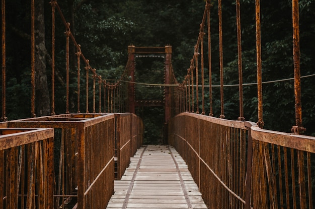 Длинный навес аллея мост в лесу