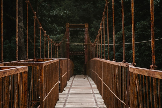 A long canopy walkway bridge in a forest