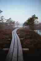 Free photo long narrow wooden bridge passing through trees