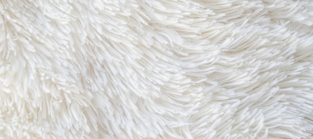 Long pile carpet texture. abstract background of shaggy white fibers. high quality photo