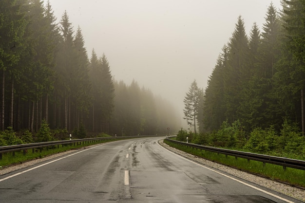 Long road leading through misty forests