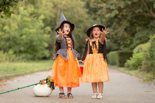 Long shot of cute little girls with halloween costumes