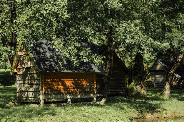 Foto gratuita campo lungo di capannoni agricoli sotto gli alberi