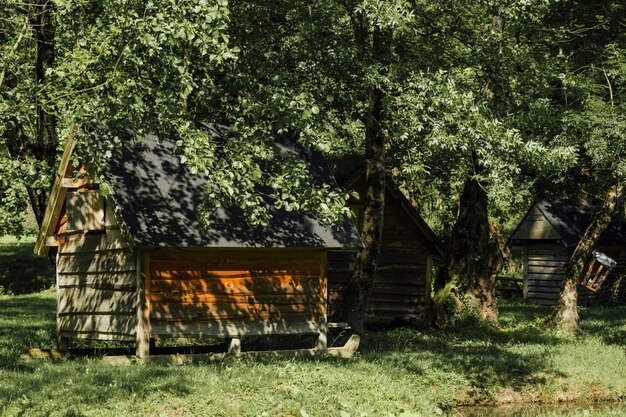 Бани из кирпича строительство