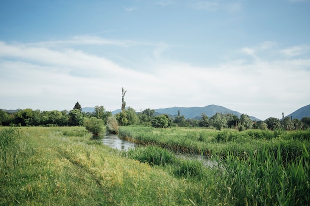 Long shot of green pasture with water stream