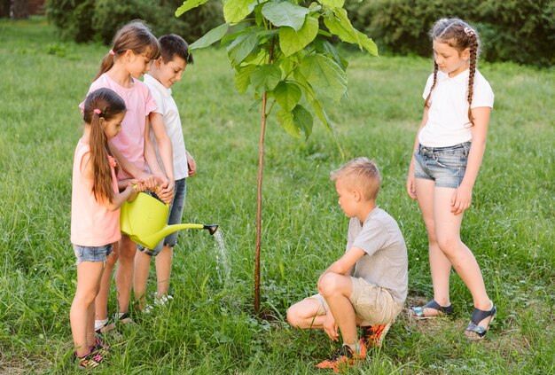 Long shot kids plating a tree