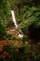 Foto gratuita campo lungo delle maestose cascate di la paz nel mezzo di una lussureggiante foresta in cinchona costa rica