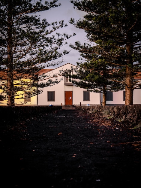 Foto gratuita campo lungo di un sentiero tra gli alberi verso una casa