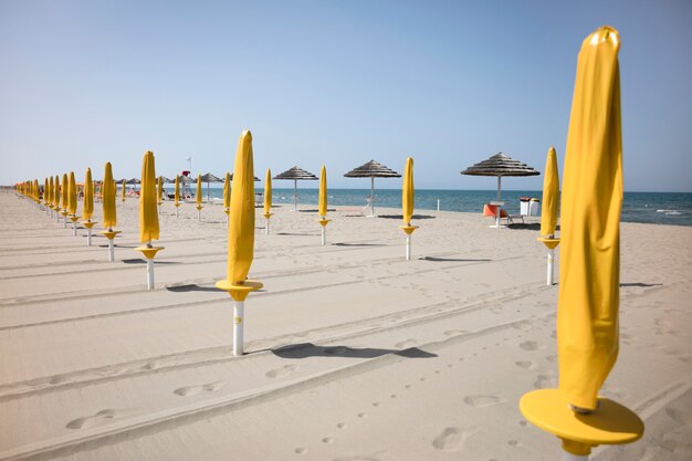 Long shot of resort beach with umbrellas