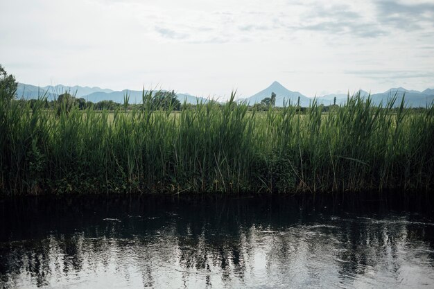 Long shot of river in farmland