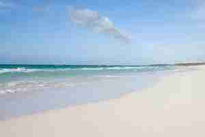 Free photo long shot of tropical sandy beach