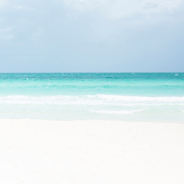 Long shot of tropical sandy beach