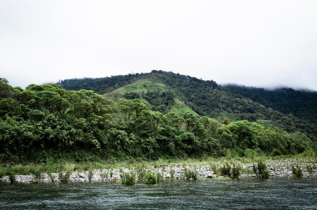 Long shot tropical trees and hills landscape