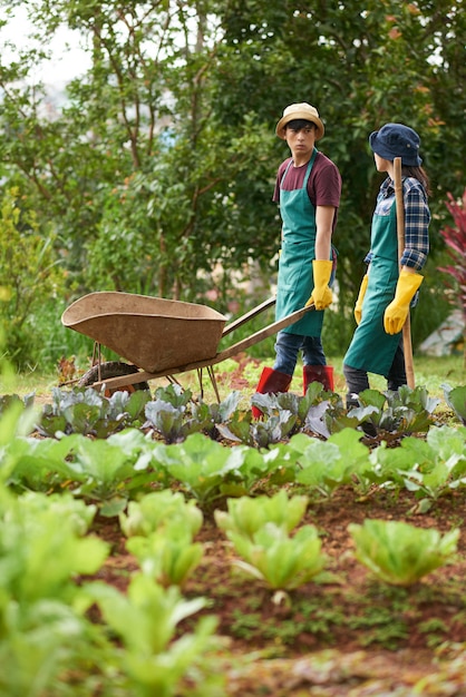 Free photo long shot of two farmworkers chatting at a workday on a farm