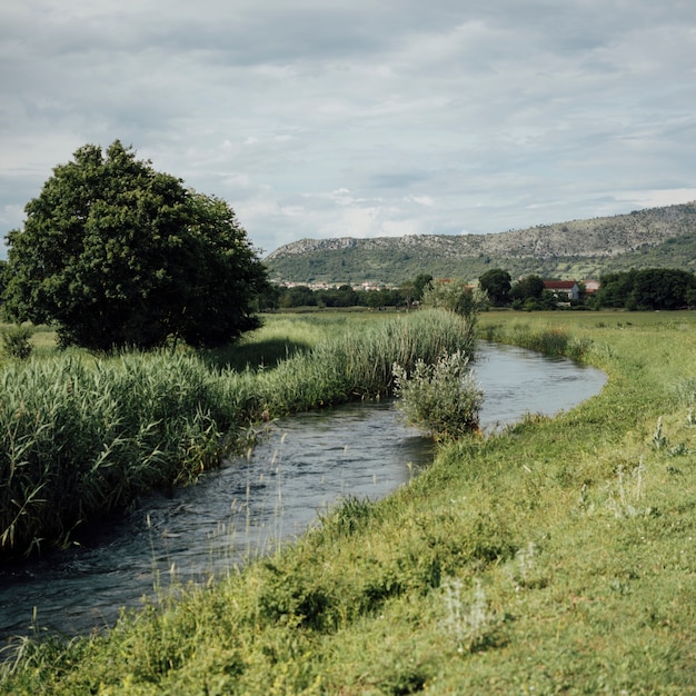 Long shot water stream in the grassland