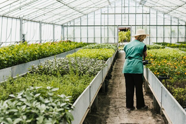 Long shot woman inside greenhouse