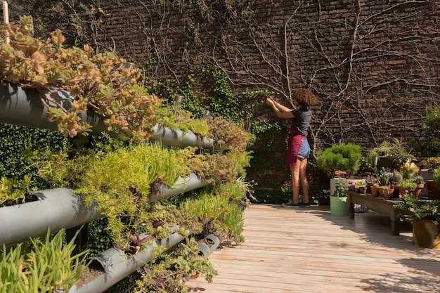 植物の世話をするロングショットの若い女性