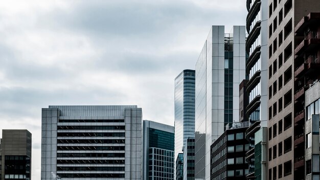 Длинный вид современных небоскребов офисных зданий
