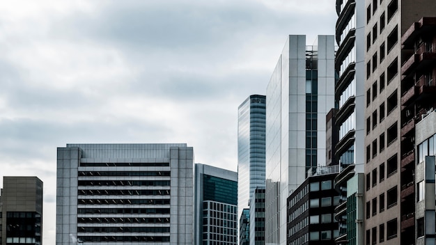 Long view modern skyscrapers office buildings