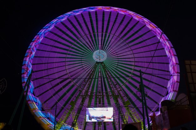 Long view violet wonder wheel in the night
