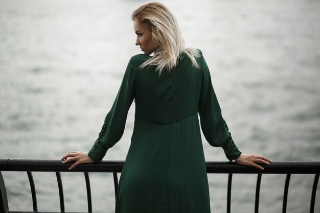 뉴욕에서 강 앞에 서있는 녹색 드레스에 꿈꾸는 여자를 뒤에서 보라.