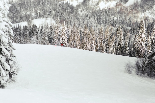山の森の雪が降った丘の上に立っているスキースーツの人々を上から見てください