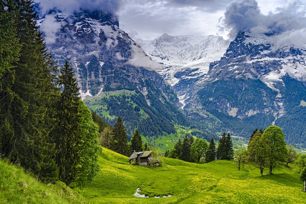 スイスの自然の写真 - 無料の高画質写真をダウンロード | Freepik