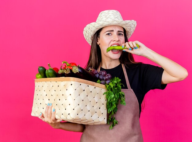 Looking at camera beautiful gardener girl in uniform wearing gardening hat holding vegetable basket and bites pepper isolated on pink background