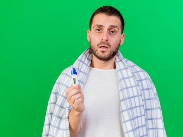 Looking at camera young ill man wrapped in plaid holding thermometer isolated on green background