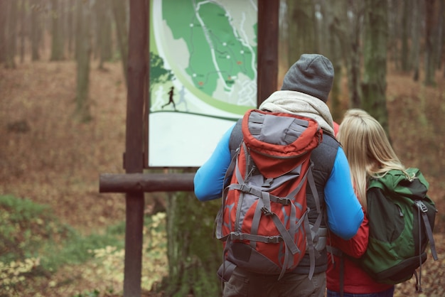 Looking at the map in the park