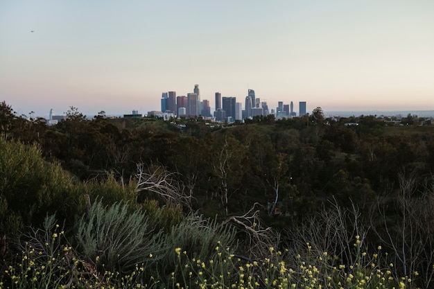 Los Angeles city view