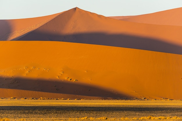Бесплатное фото Много красивых песчаных дюн в пустыне намиб в намибии