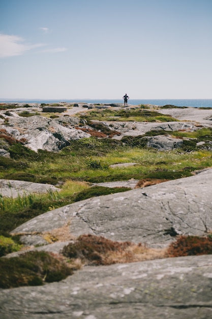 Lot of rock formations on the peninsula near the ocean during daytime