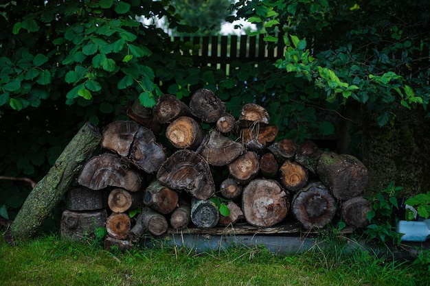 A lot of wood and logs in the backyard of a house in village